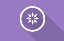 我们·外贸网页制作专家